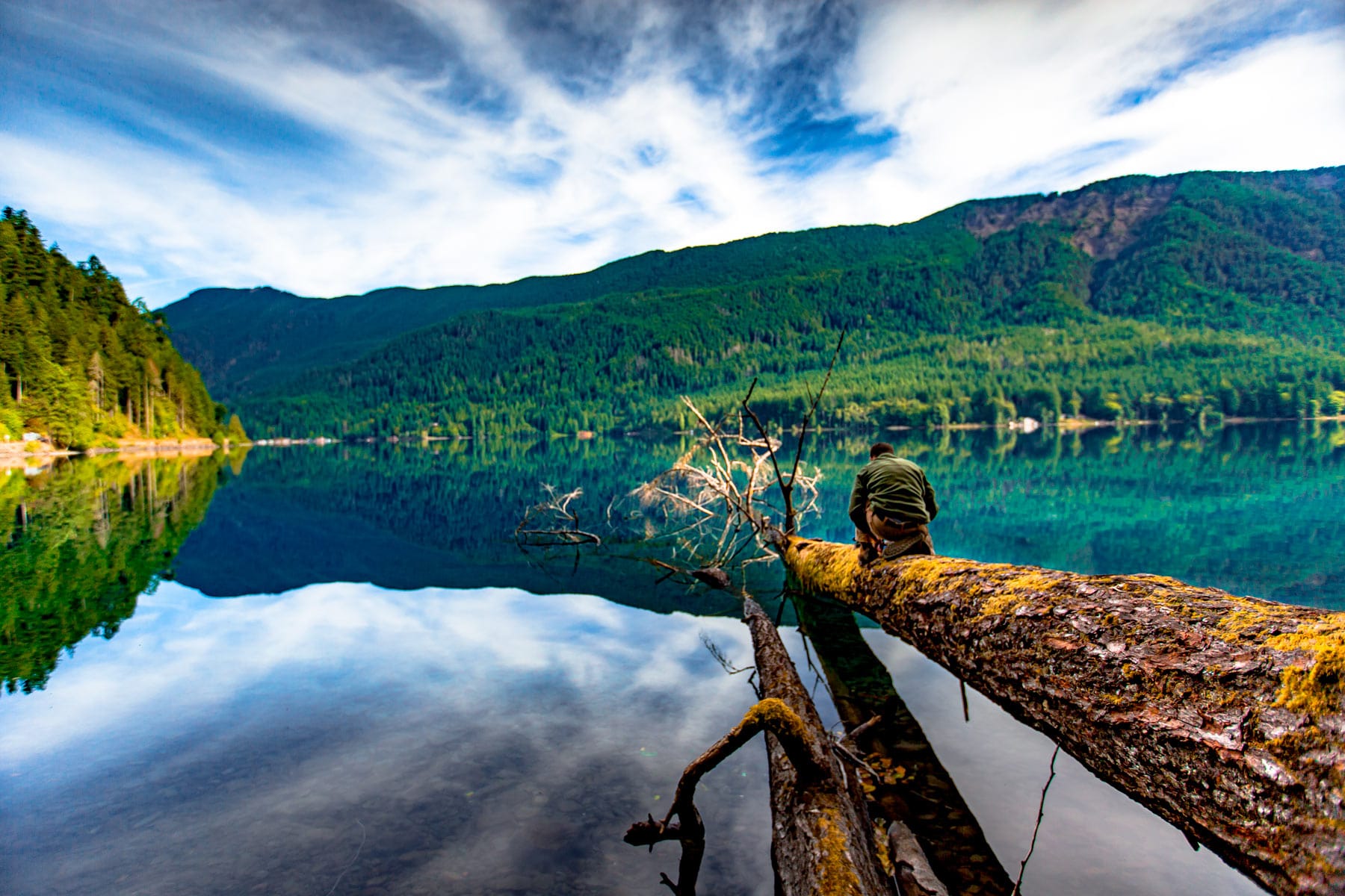 Olympic National Park: The Ultimate Adventure Awaits