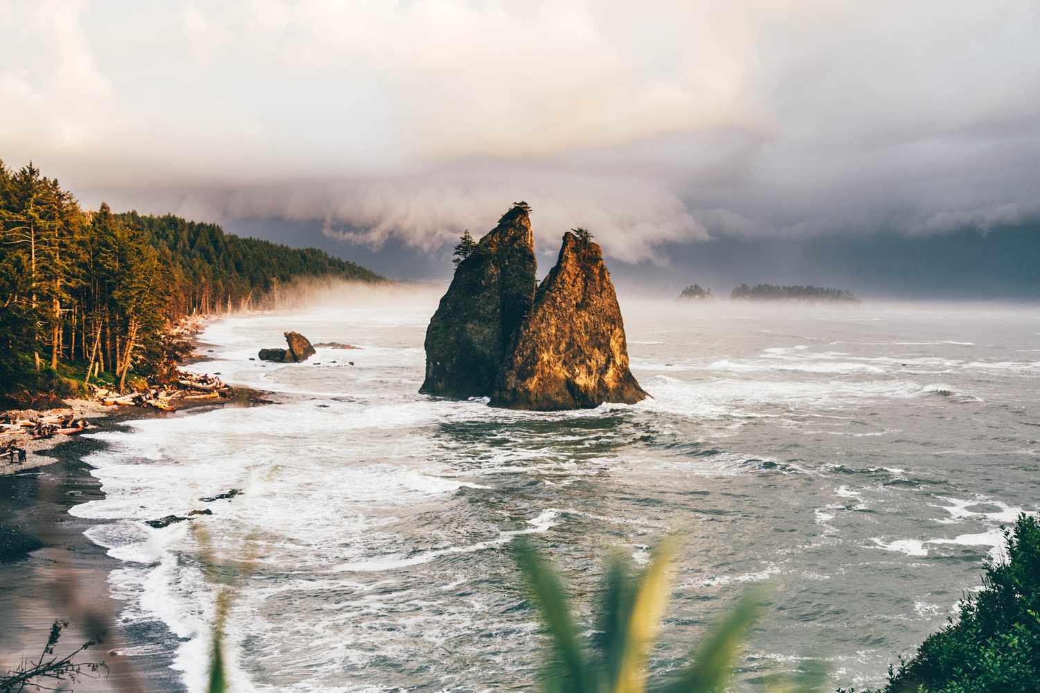 Olympic National Park: The Ultimate Adventure Awaits