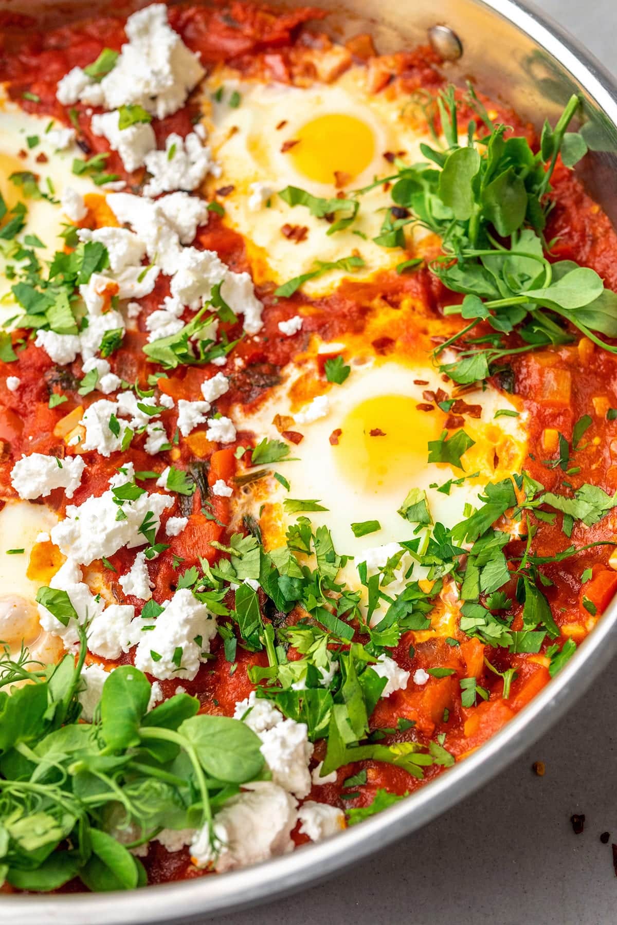 Shakshuka: The Irresistible Middle Eastern Delight at The Monroe Hotels