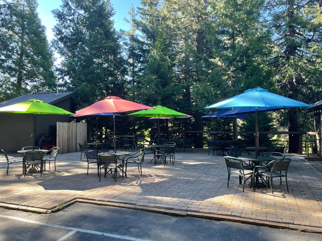 Sierra Woods Lodge: A Hidden Gem for Nature Lovers and Peace Seekers