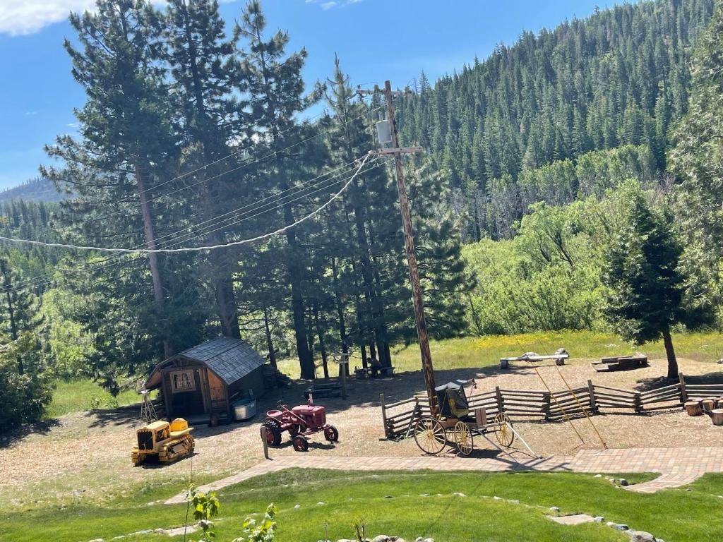 Sierra Woods Lodge: A Hidden Gem for Nature Lovers and Peace Seekers