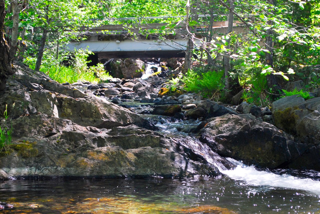 Sierra Woods Lodge: A Hidden Gem for Nature Lovers and Peace Seekers