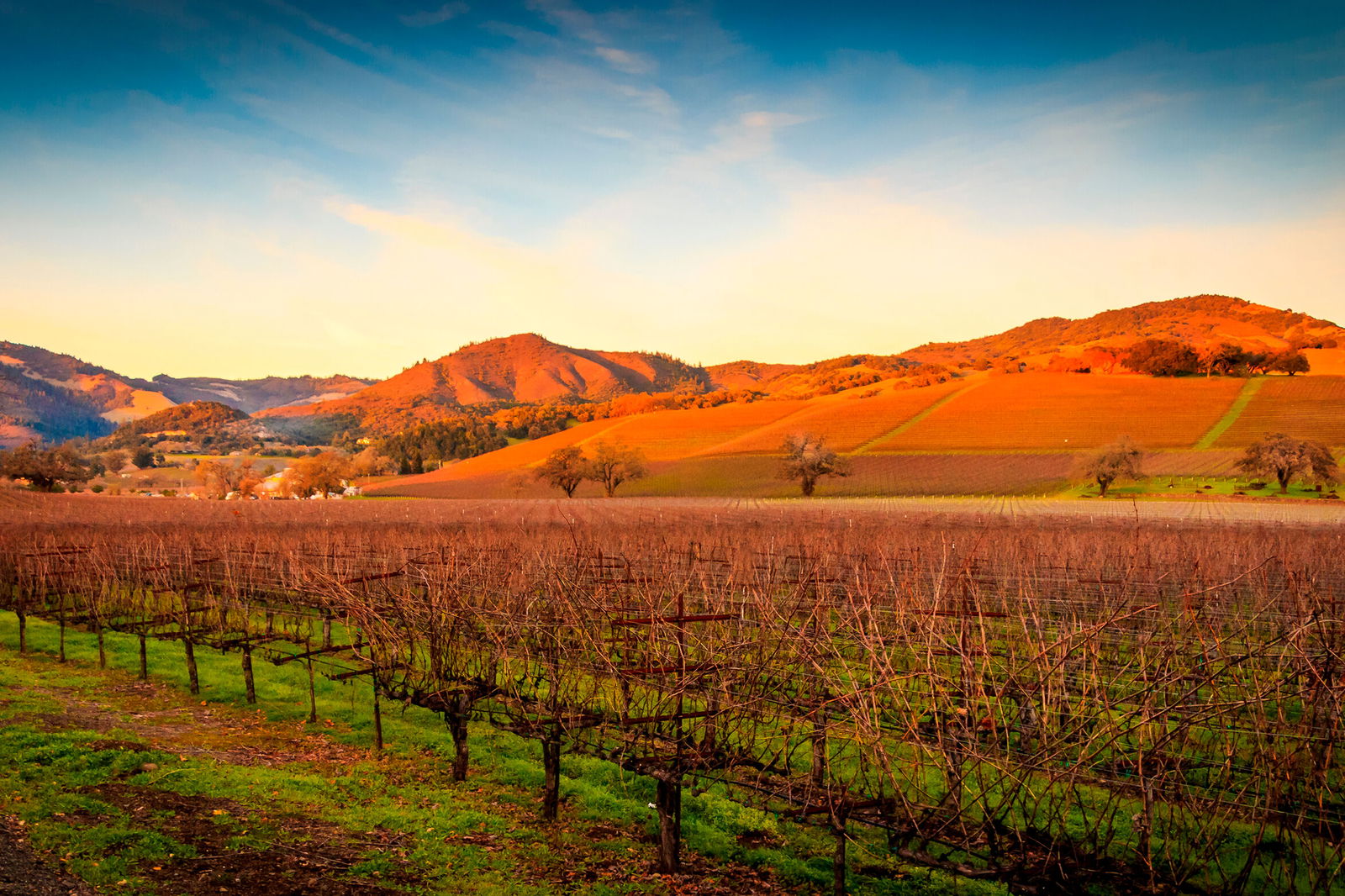 Sonoma Valley: Unveiling the Hidden Gem of Wine Country