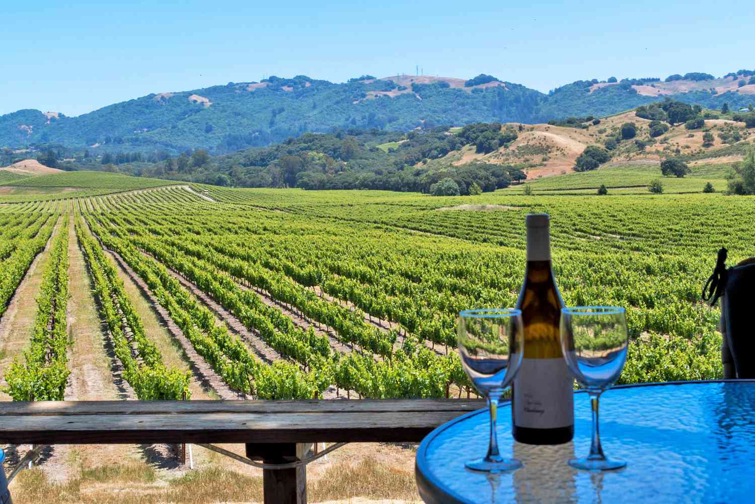 Sonoma Valley: Unveiling the Hidden Gem of Wine Country