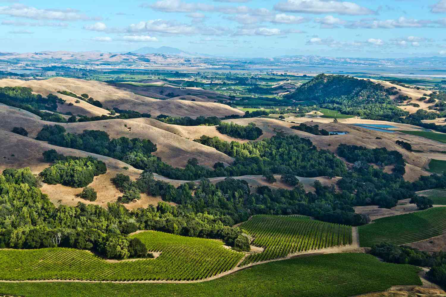 Sonoma Valley: Unveiling the Hidden Gem of Wine Country