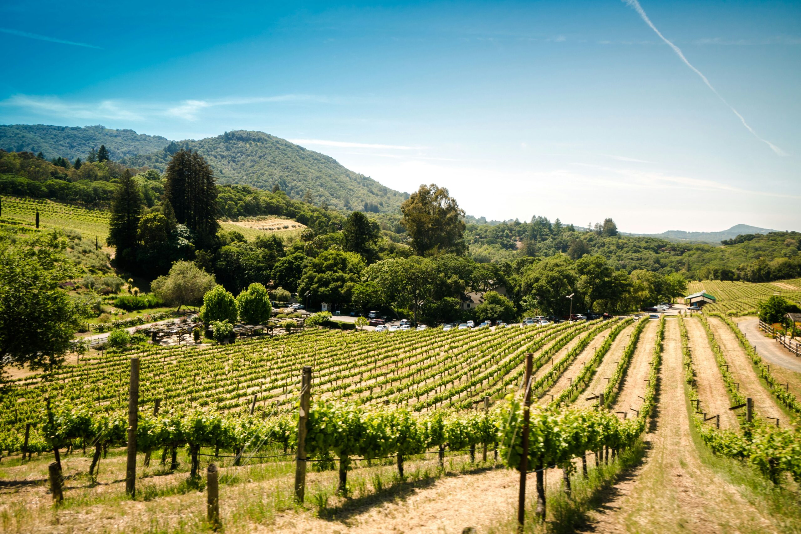 Sonoma Valley: Unveiling the Hidden Gem of Wine Country