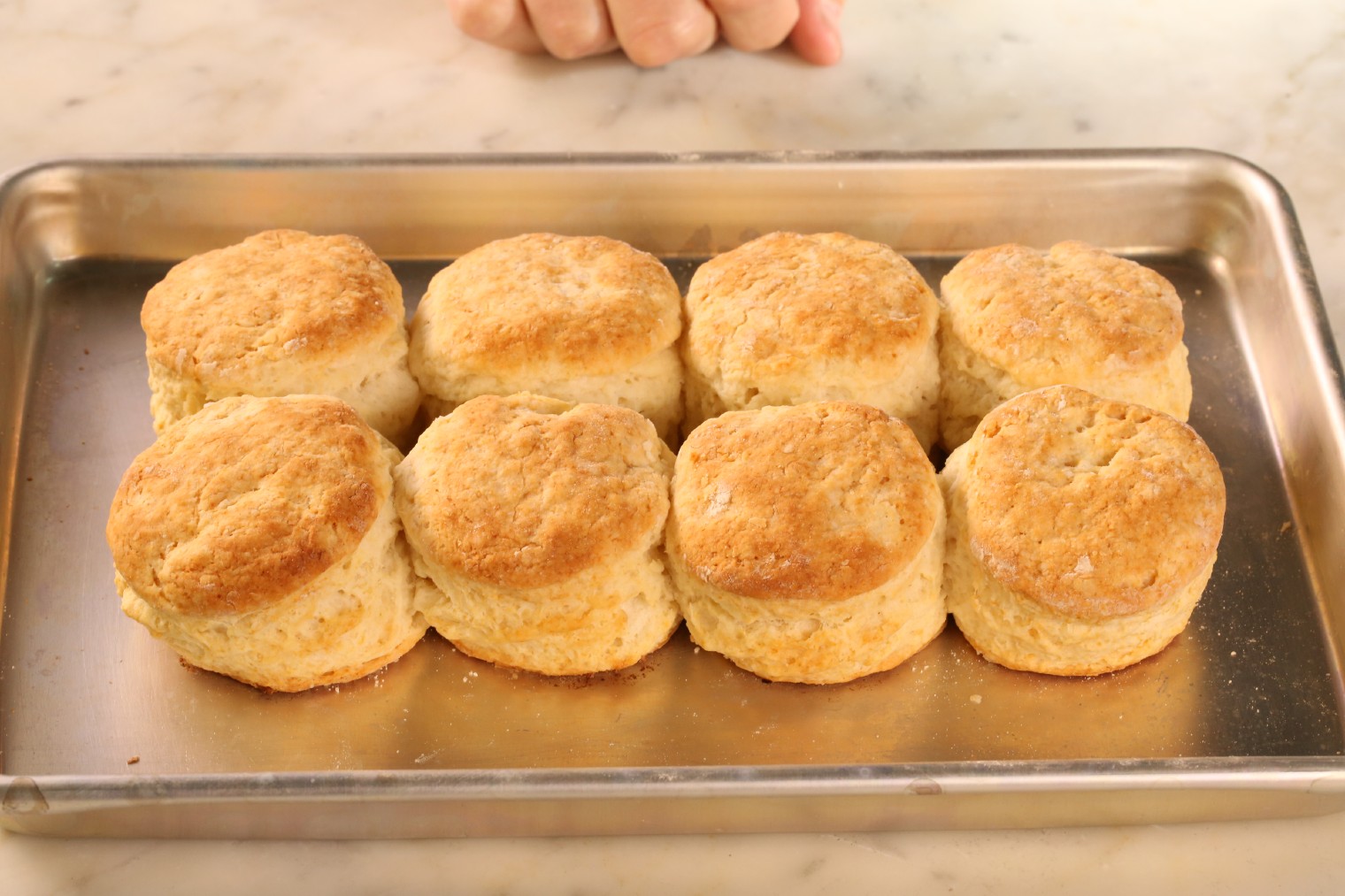 Southern Biscuits: The Ultimate Guide to Southern Comfort Food