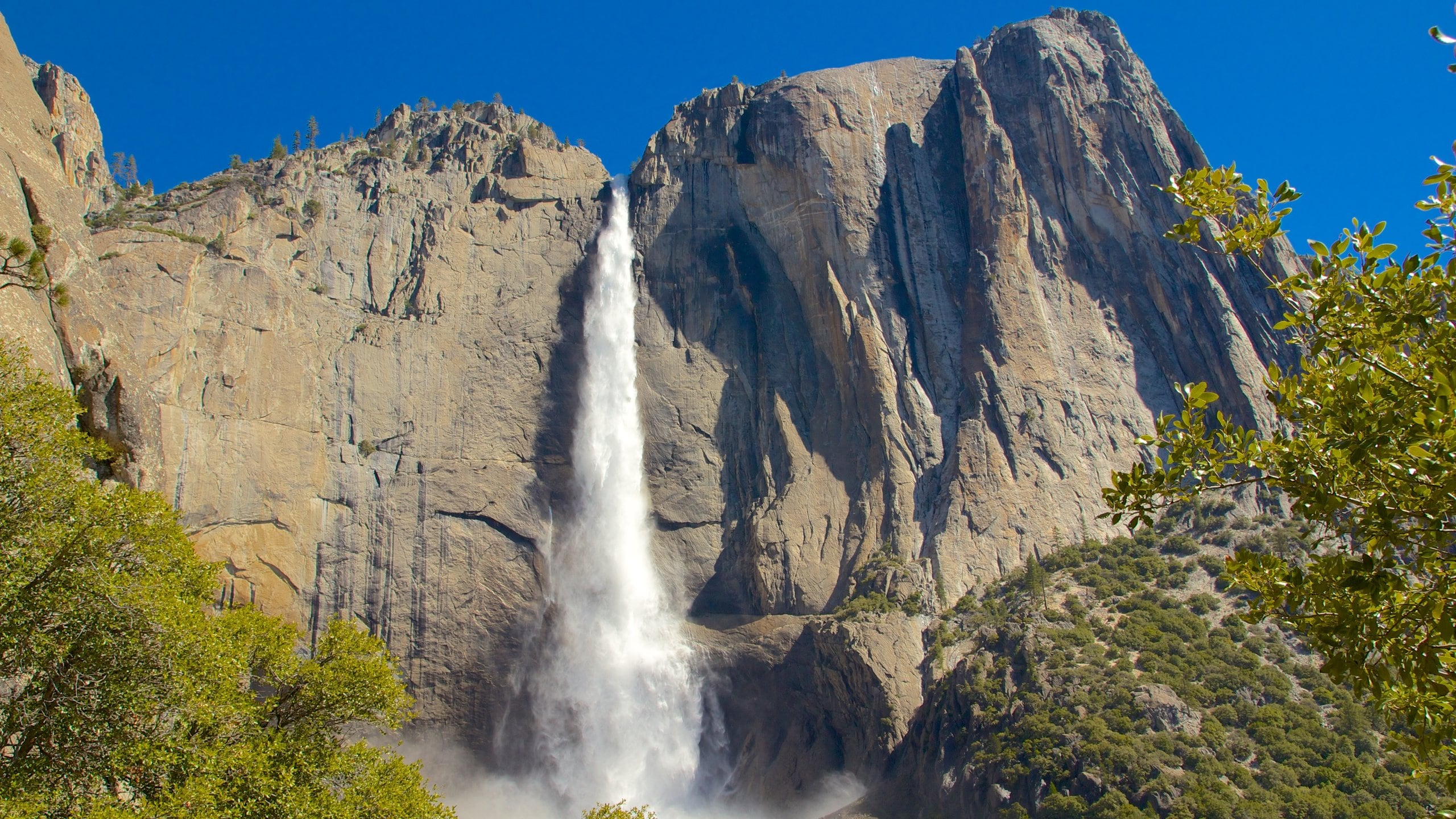 Yosemite National Park: Where Adventure Meets Tranquility