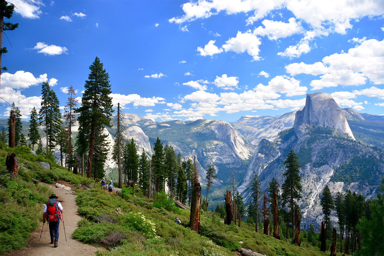 Yosemite National Park: Where Adventure Meets Tranquility
